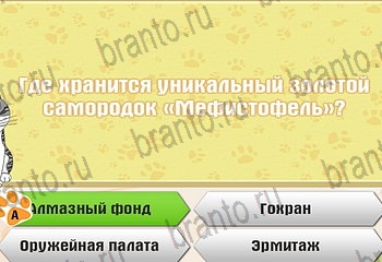 Самый умный котёнок ответы Уровень 781