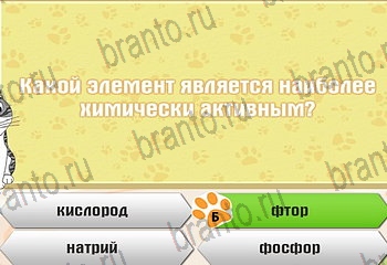 Самый умный котёнок Одноклассники подсказки Уровень 783
