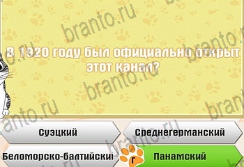 Самый умный котёнок игра из одноклассников помощь Уровень 785