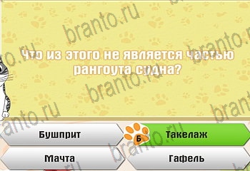 Самый умный котёнок из одноклассников помощь Уровень 796