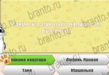 Одноклассники Самый умный котёнок ответ на Уровень 812
