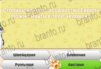 Одноклассники Самый умный котёнок прохождение игры Уровень 814