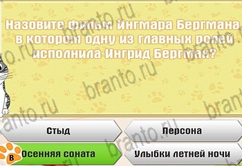 Одноклассники Самый умный котёнок решебник к игре в Одноклассниках Уровень 816