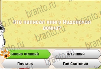 игра Самый умный котёнок в Одноклассниках ответы Уровень 819