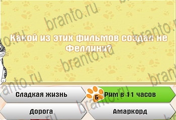 из одноклассников Самый умный котёнок ответы на игру Уровень 822