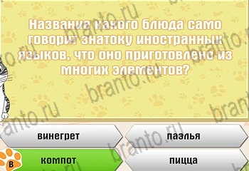 Самый умный котёнок в Одноклассниках подсказки Уровень 823