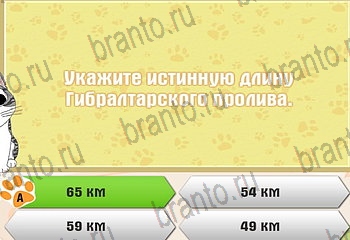 Самый умный котёнок из одноклассников помощь Уровень 826