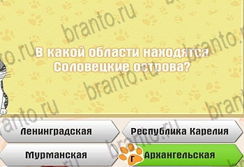 Игра Самый умный котёнок Одноклассники решения Уровень 827