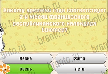 Самый умный котёнок все ответы Уровень 833