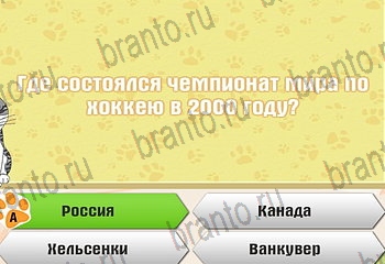 игра Самый умный котёнок все ответы Уровень 834