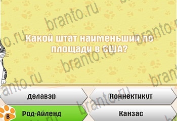 ответы на все уровни игры Самый умный котёнок Уровень 835