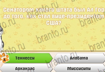 решения на все задания игры Самый умный котёнок Уровень 838