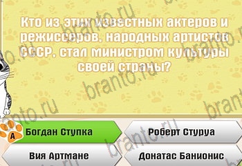 игра Самый умный котёнок ответы уровень 840