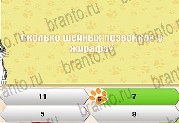 Одноклассники Самый умный котёнок прохождение игры Уровень 844