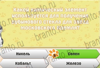 Самый умный котёнок игра из одноклассников помощь Уровень 845