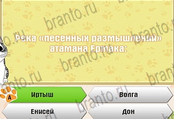 игра Самый умный котёнок из одноклассников подсказки Уровень 854