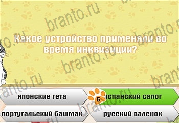 Самый умный котёнок помощь Уровень 855