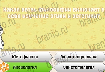 Игра Самый умный котёнок Одноклассники решения Уровень 857