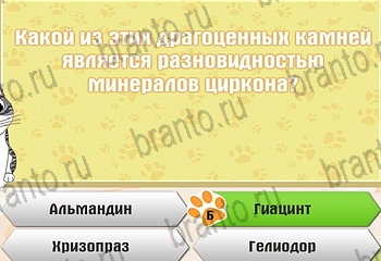 Самый умный котёнок Одноклассники решения на игру Уровень 858