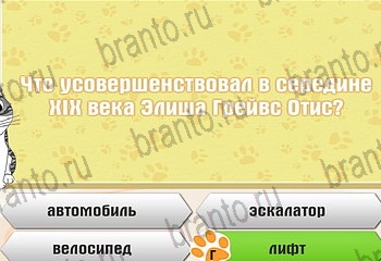 игра Самый умный котёнок разгадки на все задания Уровень 862