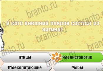 Самый умный котёнок все ответы Уровень 863