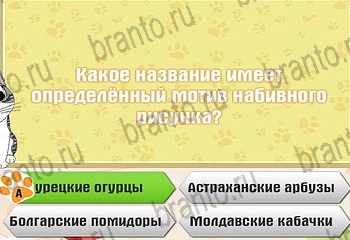 игра Самый умный котёнок все ответы Уровень 864