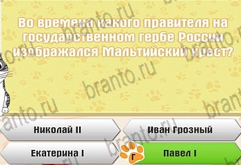 ответы на все уровни игры Самый умный котёнок Уровень 865