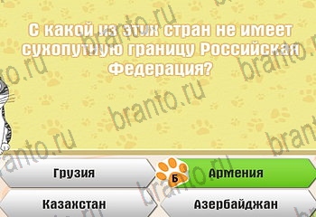 все решения к игре Самый умный котёнок Уровень 867