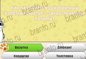 Самый умный котёнок игра ответы Уровень 869