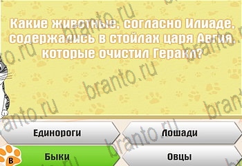 игра Самый умный котёнок ответы уровень 870