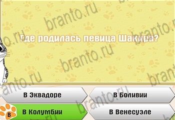 Самый умный котёнок ответы Уровень 871