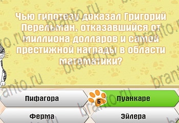 Самый умный котёнок Одноклассники подсказки Уровень 873