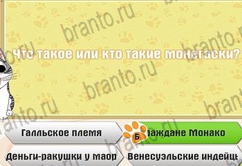 Самый умный котёнок игра из одноклассников помощь Уровень 875