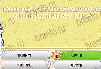 Самый умный котёнок ответы на все задания Уровень 877