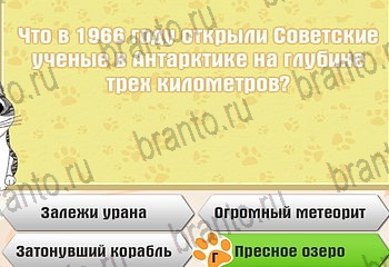Самый умный котёнок в Одноклассниках найти ответы Уровень 878