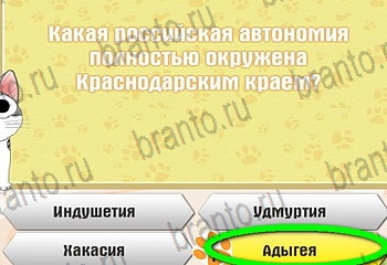 игра Самый умный котёнок в Одноклассниках ответы Уровень 879