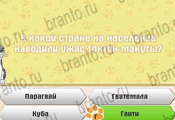 Самый умный котёнок в Одноклассниках подсказки Уровень 883