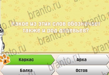 игра Самый умный котёнок из одноклассников подсказки Уровень 884