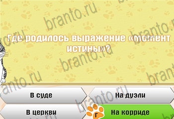 Самый умный котёнок помощь Уровень 885