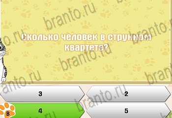 Игра Самый умный котёнок Одноклассники решения Уровень 887
