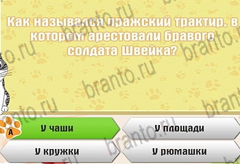 Самый умный котёнок все отгадки Одноклассники Уровень 889