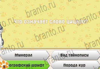 игра Самый умный котёнок разгадки на все задания Уровень 892