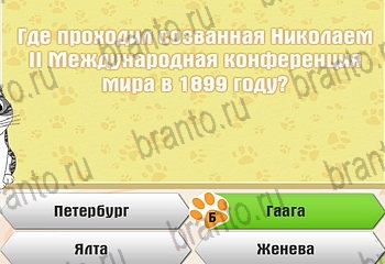 Самый умный котёнок все ответы Уровень 893