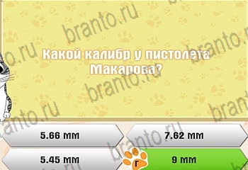 игра Самый умный котёнок все ответы Уровень 894