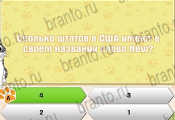 подсказки на все уровни игры Самый умный котёнок Уровень 896