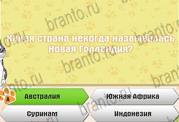 Самый умный котёнок игра из одноклассников помощь Уровень 905