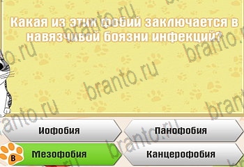 Одноклассники Самый умный котёнок решебник к игре в Одноклассниках Уровень 906