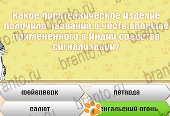 из одноклассников Самый умный котёнок ответы на игру Уровень 912