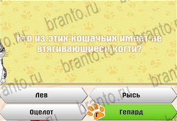 Самый умный котёнок из одноклассников помощь Уровень 916