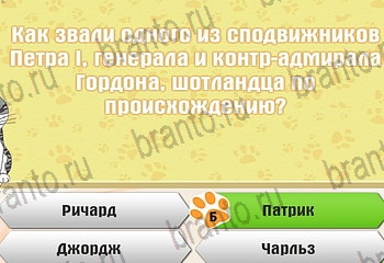 Игра Самый умный котёнок Одноклассники решения Уровень 917